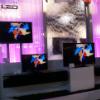 Stand Sharp Cedia