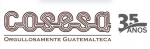 6807eb1e54814_logocosesa35.png