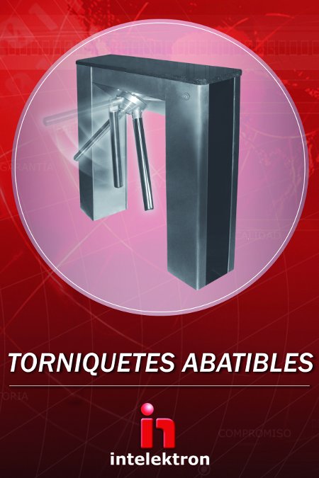 intelektron_torniquetes_abatibles.jpg.jpeg